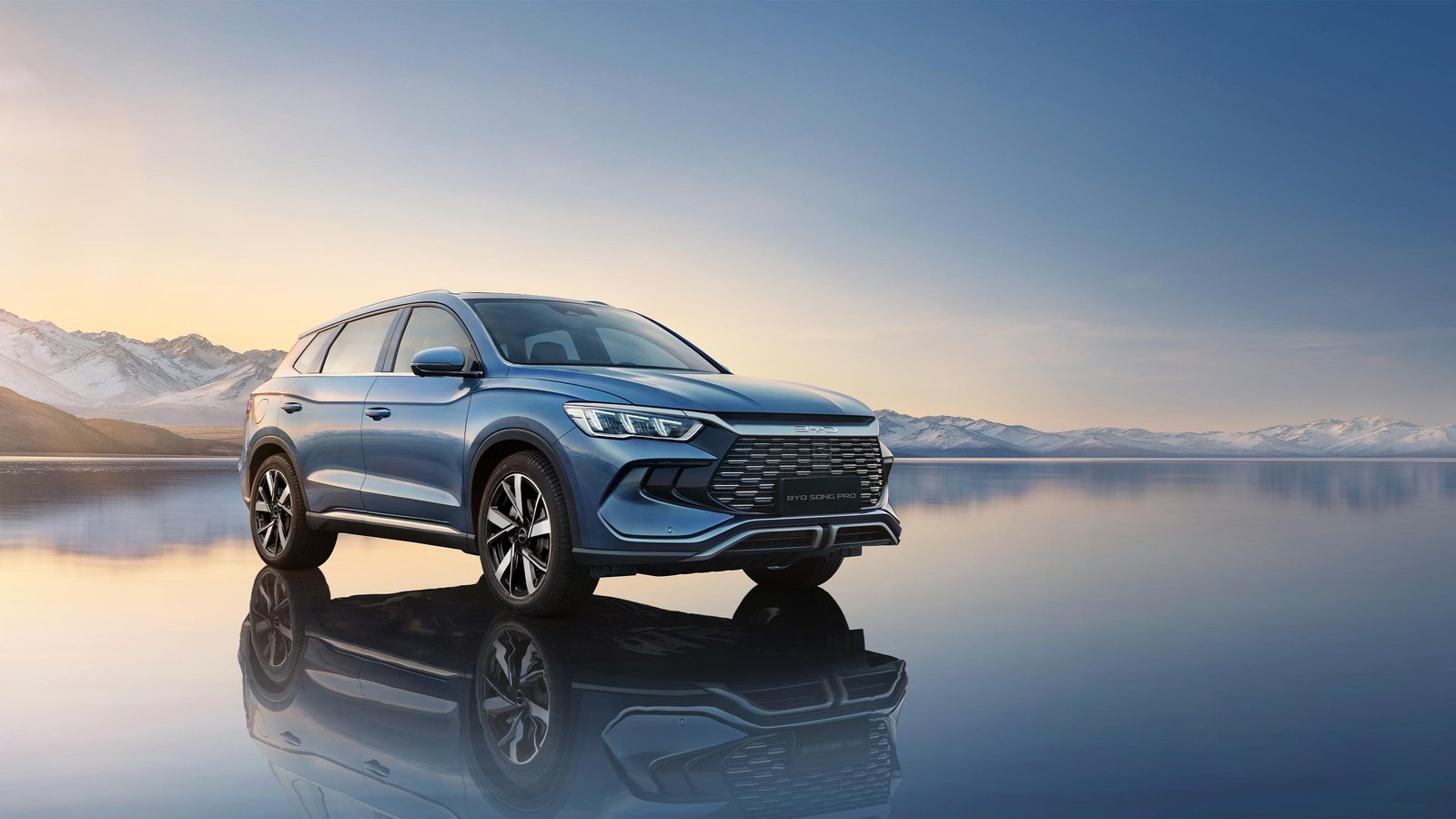 BYD Preventa